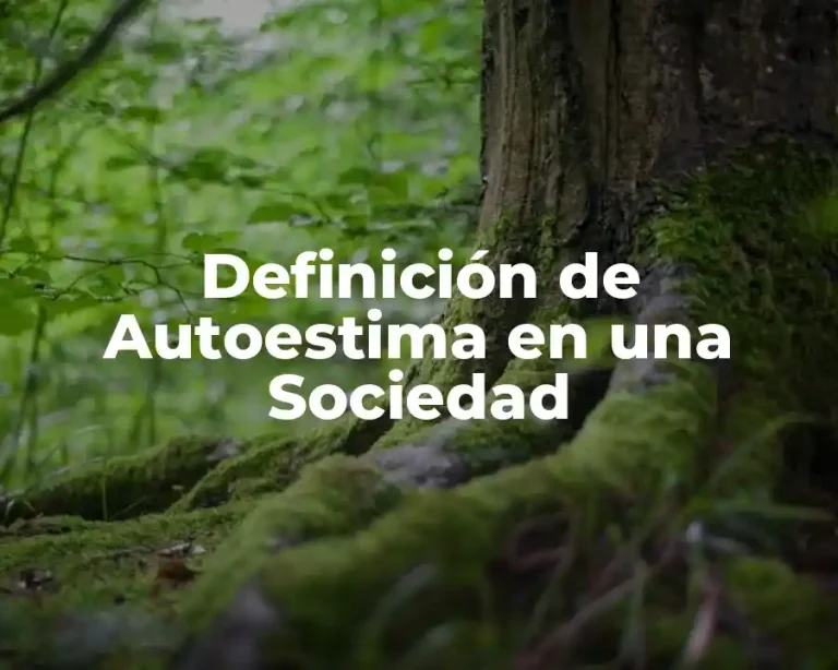Definición de Autoestima en una Sociedad
