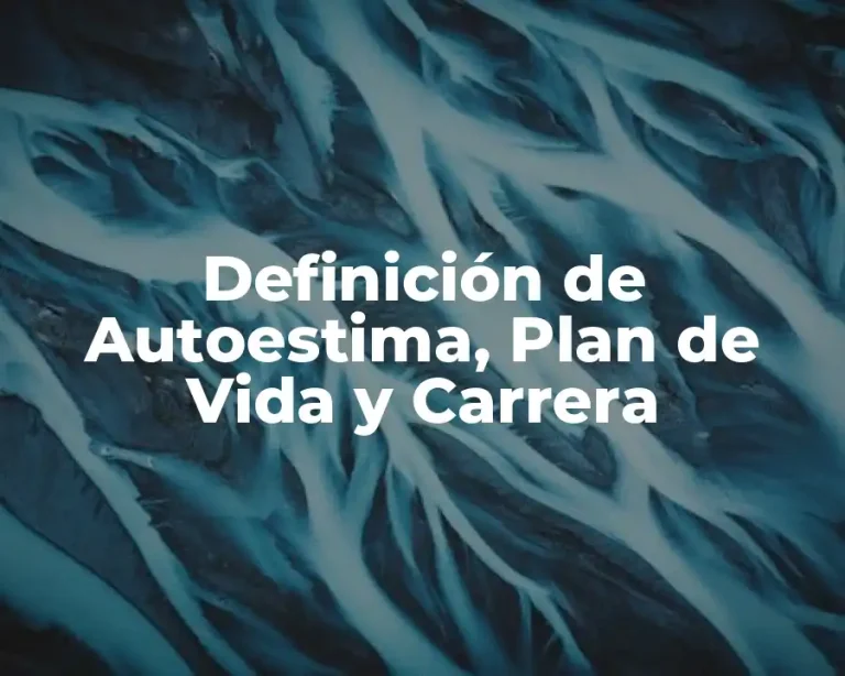Definición de Autoestima, Plan de Vida y Carrera