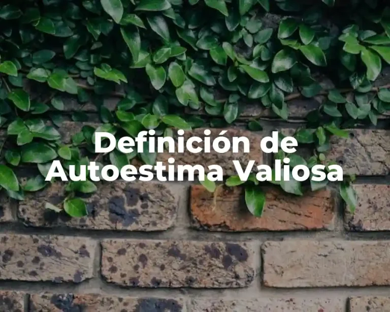 Definición de Autoestima Valiosa