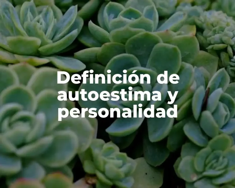 Definición de autoestima y personalidad