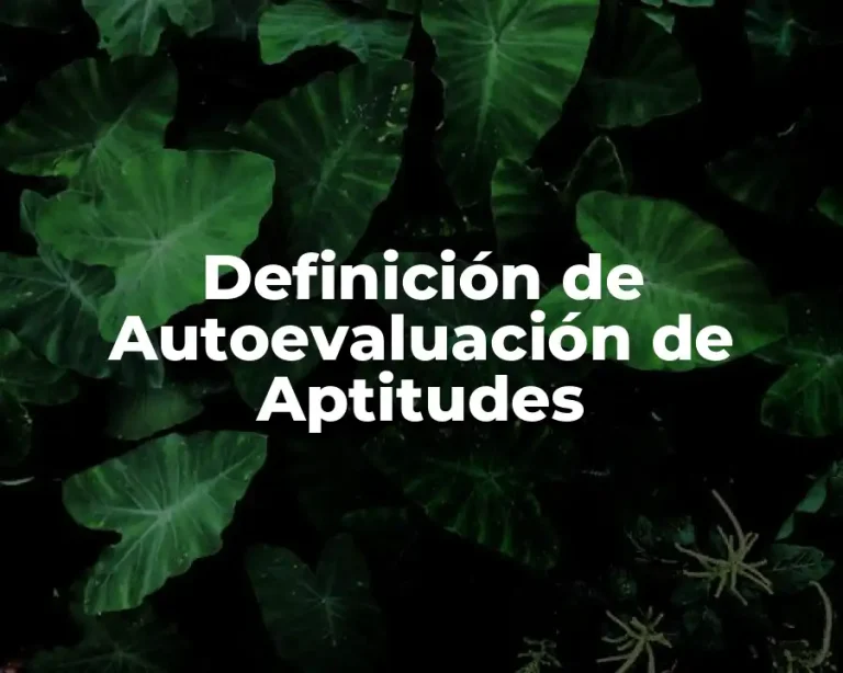 Definición de Autoevaluación de Aptitudes
