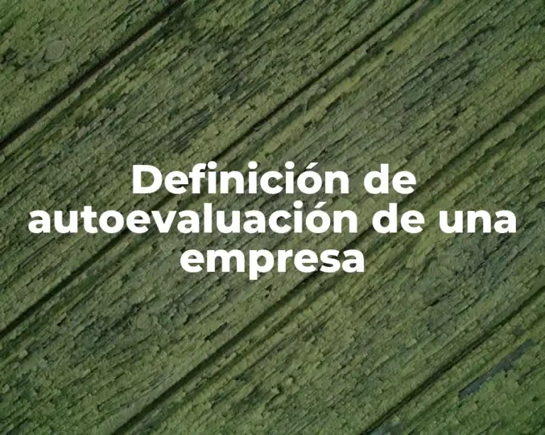 Definición de autoevaluación de una empresa