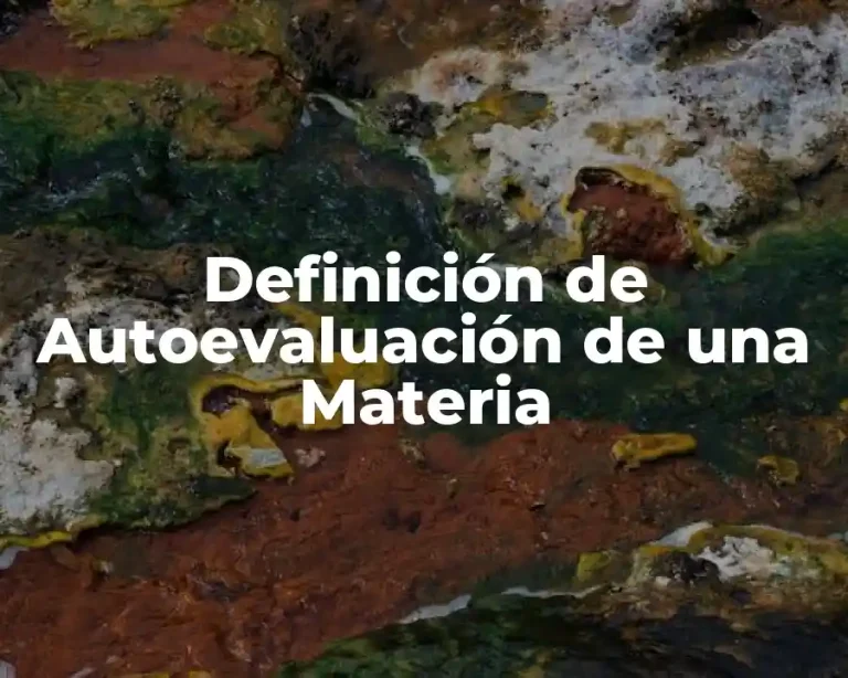 Definición de Autoevaluación de una Materia
