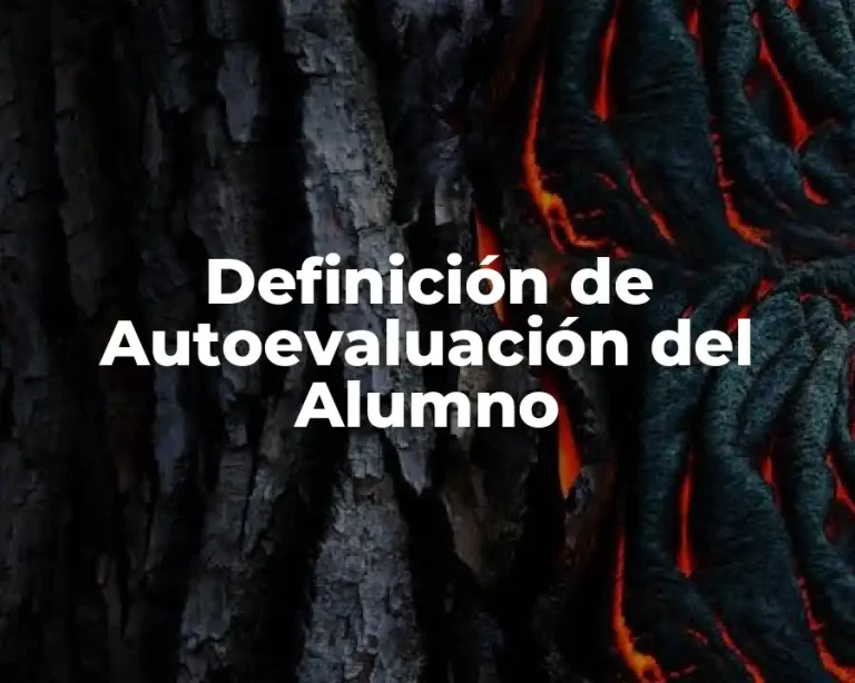 Definición de Autoevaluación del Alumno