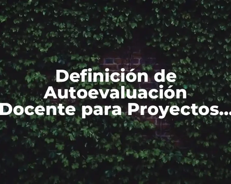 Definición de Autoevaluación Docente para Proyectos de Intervención