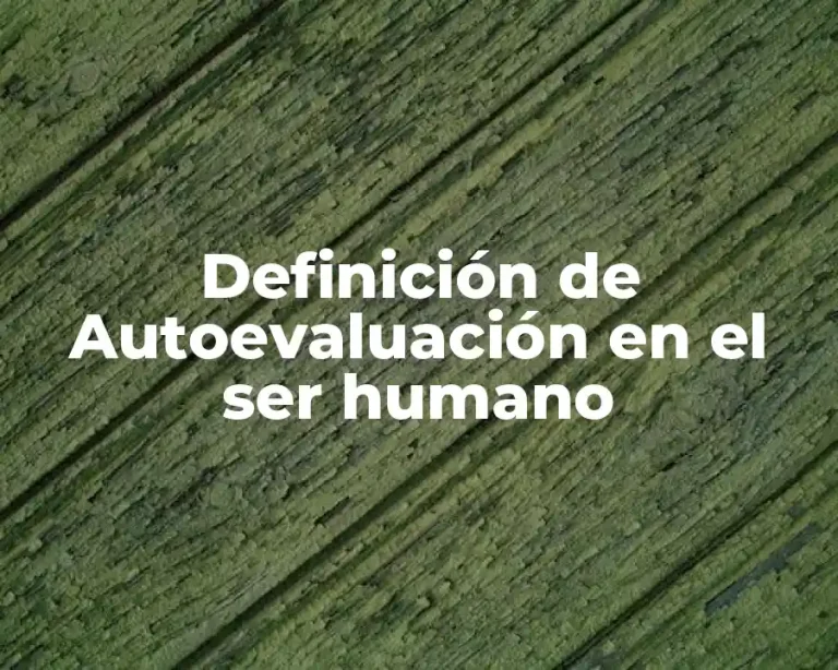 Definición de Autoevaluación en el ser humano
