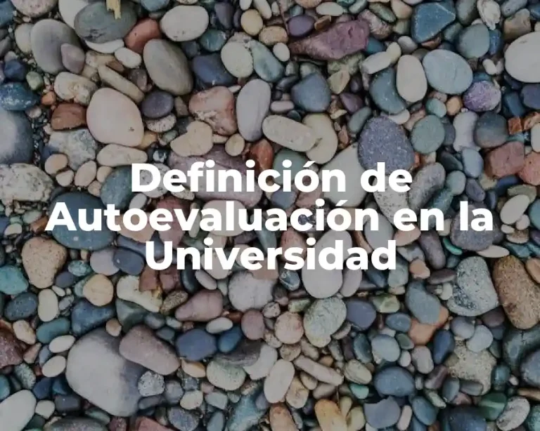 Definición de Autoevaluación en la Universidad