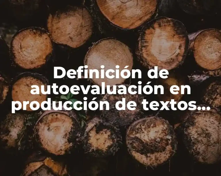 Definición de autoevaluación en producción de textos tercer grado