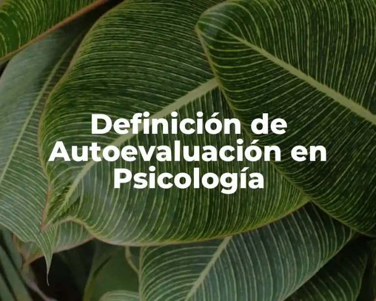 Definición de Autoevaluación en Psicología