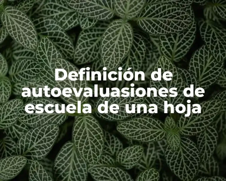 Definición de autoevaluasiones de escuela de una hoja