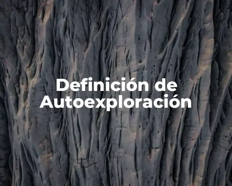 Definición de Autoexploración