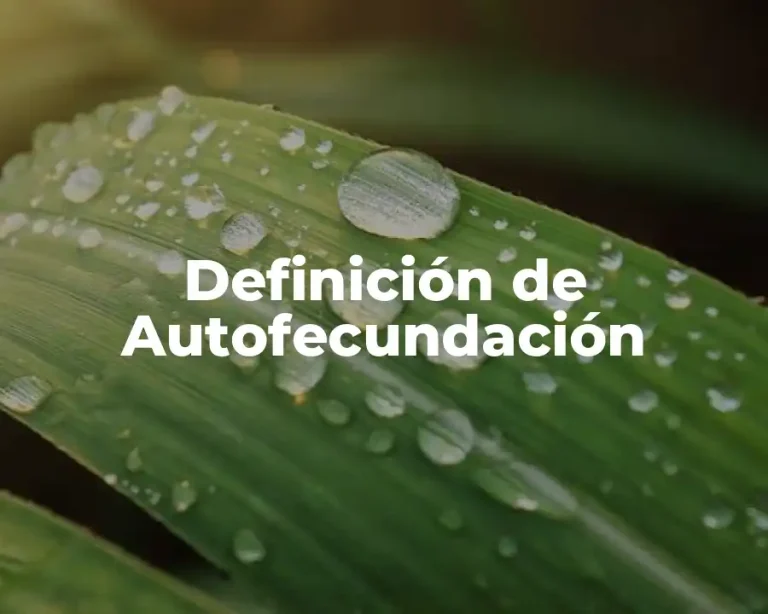 Definición de Autofecundación