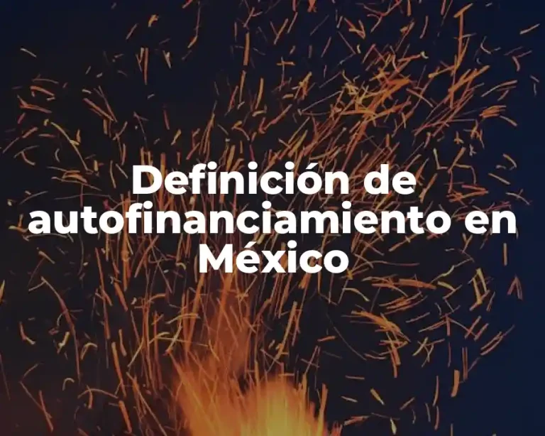 Definición de autofinanciamiento en México
