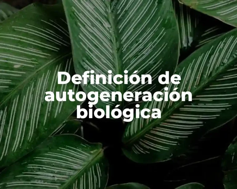 Definición de autogeneración biológica