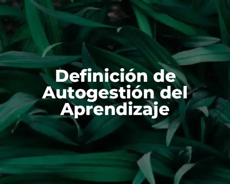 Definición de Autogestión del Aprendizaje