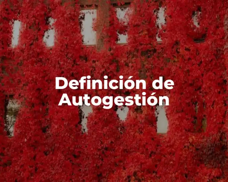 Definición de Autogestión