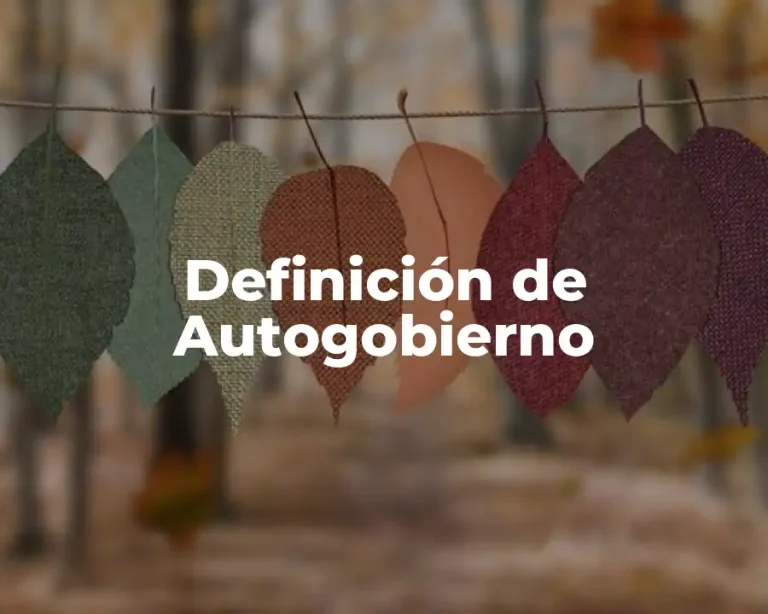 Definición de Autogobierno