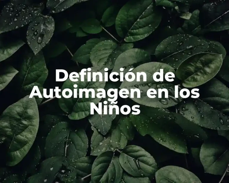 Definición de Autoimagen en los Niños