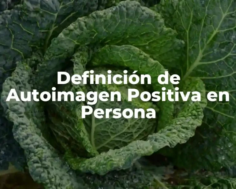 Definición de Autoimagen Positiva en Persona