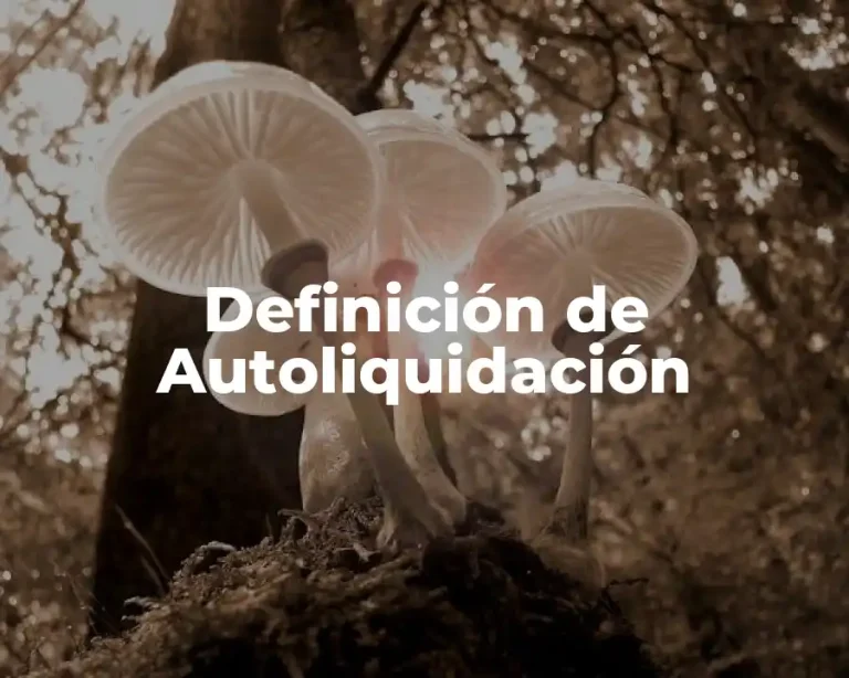 Definición de Autoliquidación