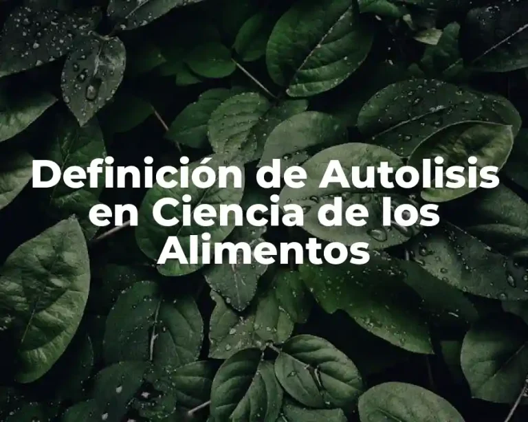 Definición de Autolisis en Ciencia de los Alimentos