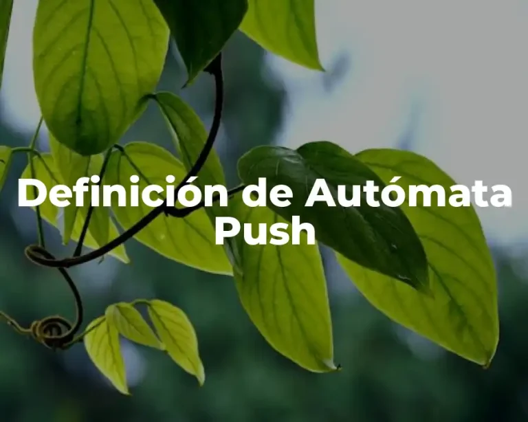Definición de Autómata Push