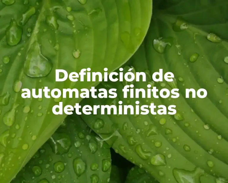 Definición de automatas finitos no deterministas