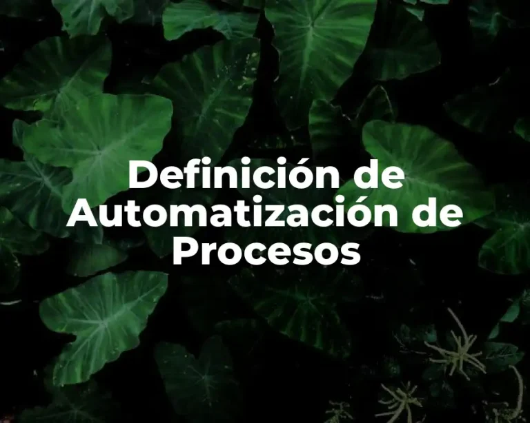 Definición de Automatización de Procesos