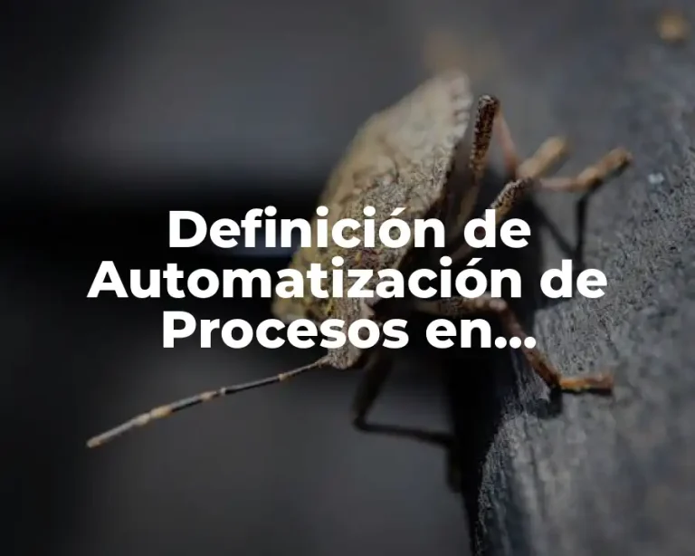 Definición de Automatización de Procesos en Informática