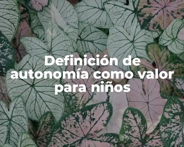Definición de autonomía como valor para niños