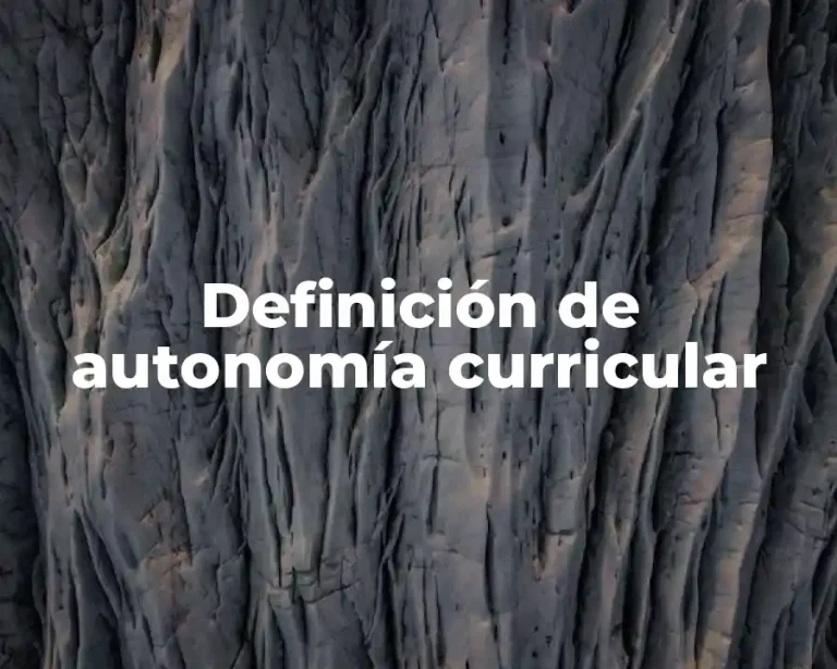 Definición de autonomía curricular
