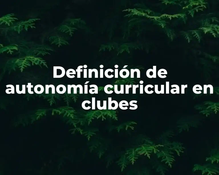 Definición de autonomía curricular en clubes