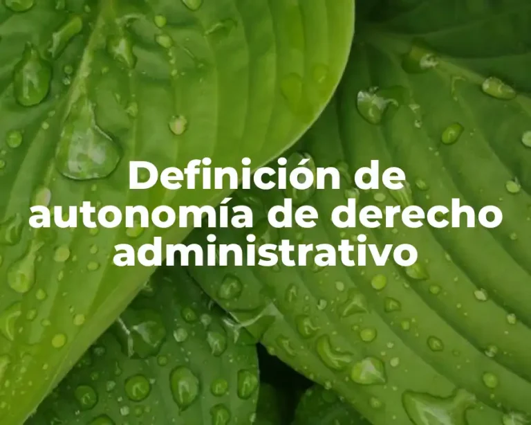 Definición de autonomía de derecho administrativo