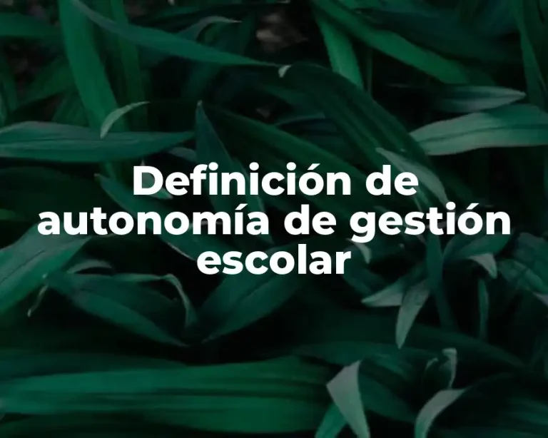 Definición de autonomía de gestión escolar