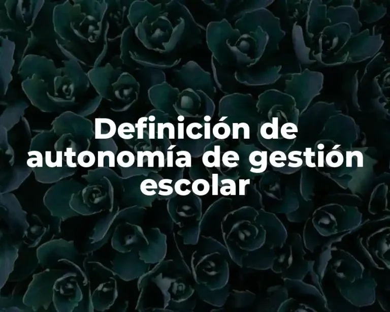 Definición de autonomía de gestión escolar