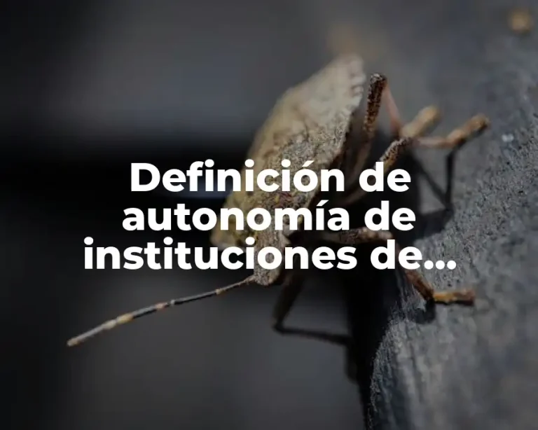 Definición de autonomía de instituciones de educación superior