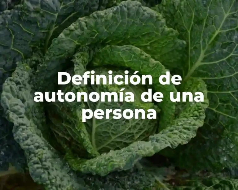 Definición de autonomía de una persona