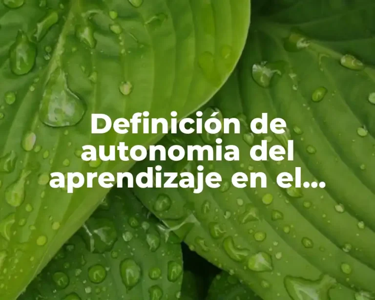 Definición de autonomia del aprendizaje en el alumno