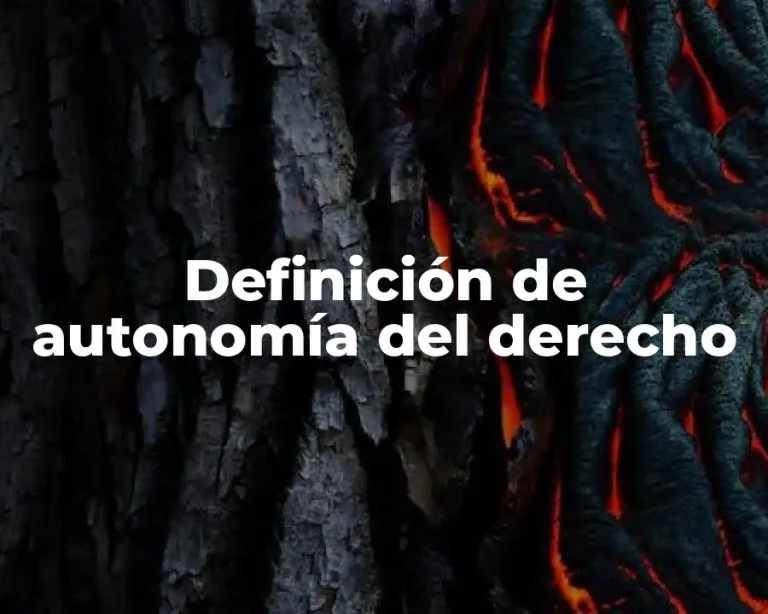 Definición de autonomía del derecho