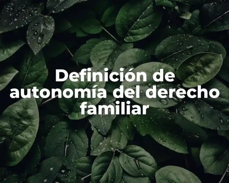 Definición de autonomía del derecho familiar