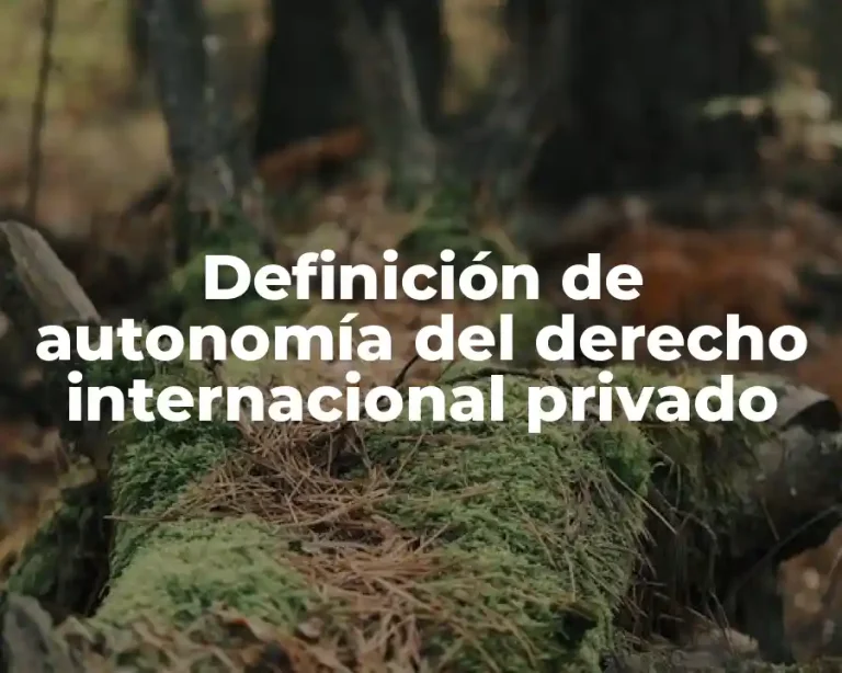 Definición de autonomía del derecho internacional privado