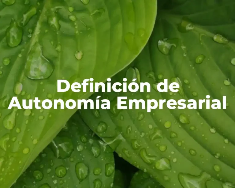 Definición de Autonomía Empresarial