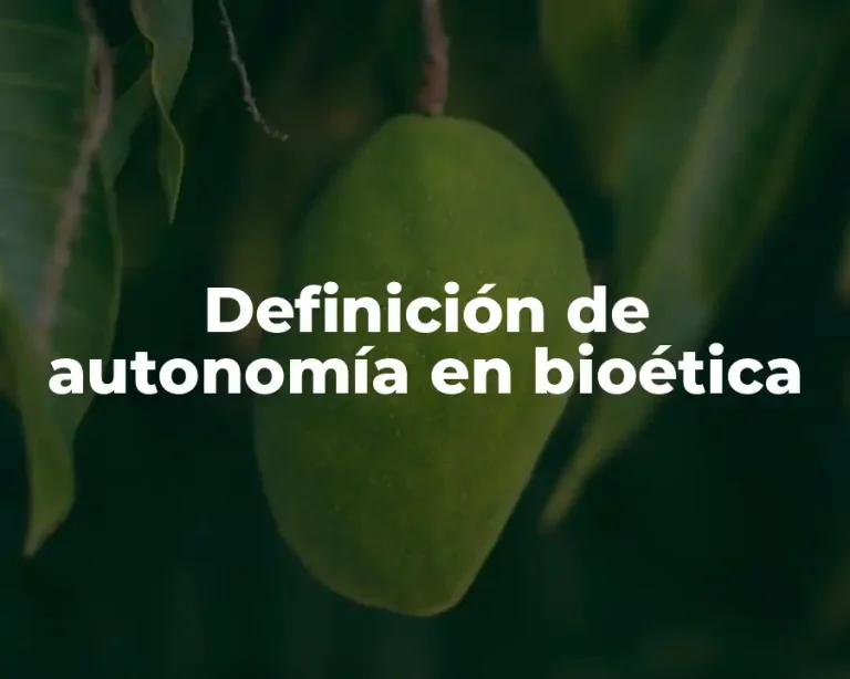Definición de autonomía en bioética