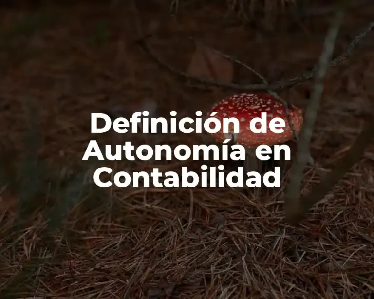Definición de Autonomía en Contabilidad