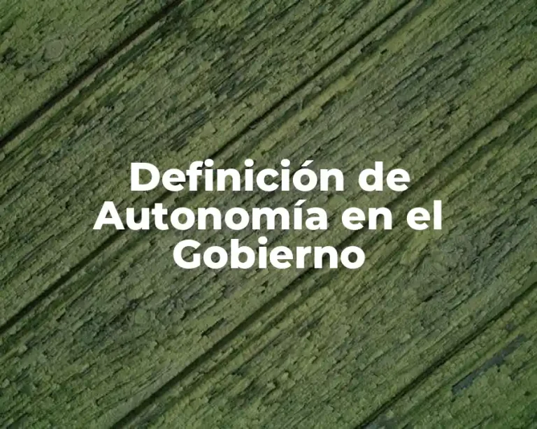 Definición de Autonomía en el Gobierno
