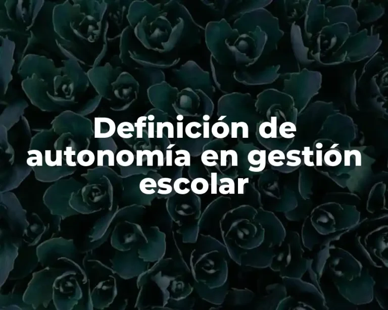 Definición de autonomía en gestión escolar