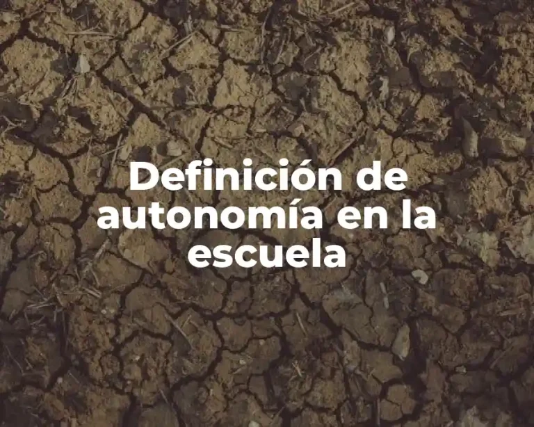 Definición de autonomía en la escuela
