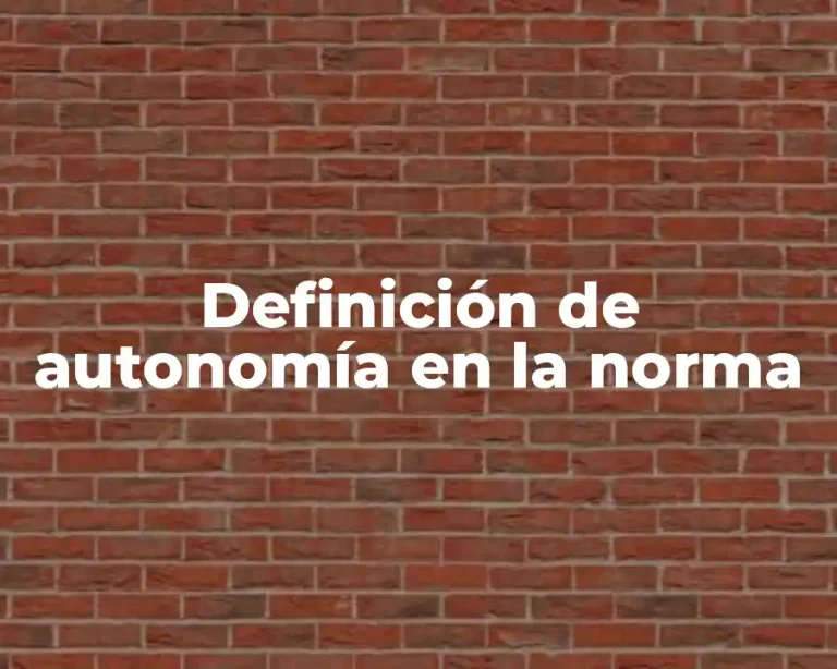 Definición de autonomía en la norma