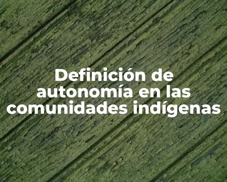 Definición de autonomía en las comunidades indígenas