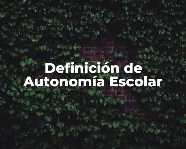 Definición de Autonomía Escolar